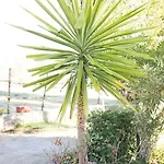 Mi Casita * רונדה